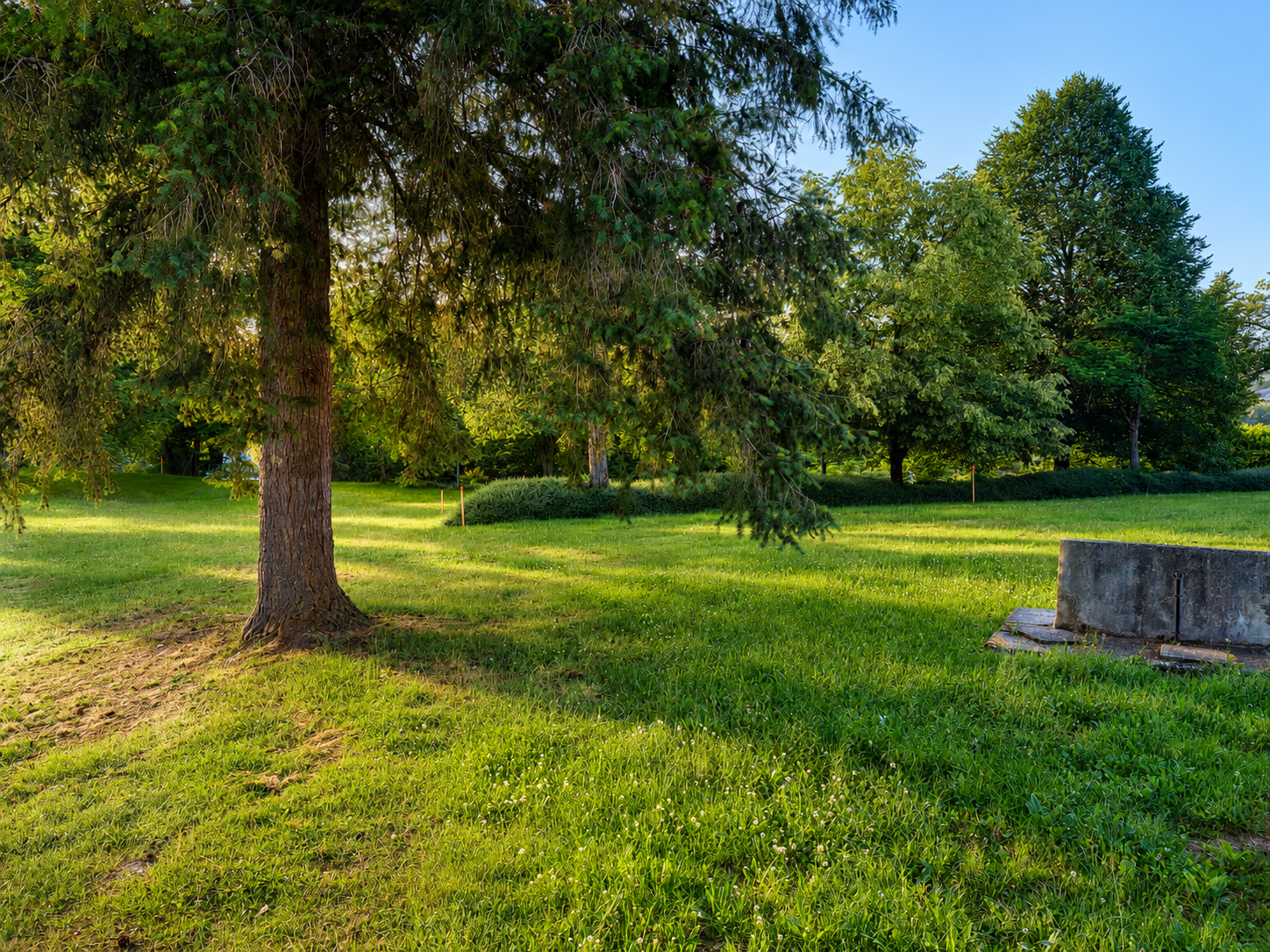 Vue d'ensemble du camping municipal de Lacapelle-Viescamp avec ses grands arbres