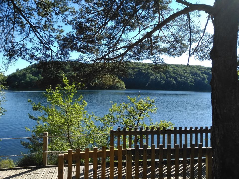 Belvédère avec vue sur le lac encadré par les pins