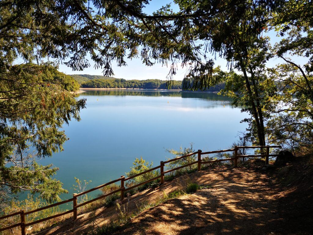 Vue panoramique sur le lac depuis la rive boisée